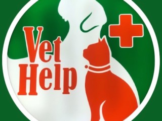 VetHelp - Ветеринарная клиника в Батуми